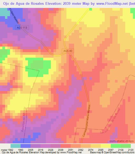 Ojo de Agua de Rosales,Mexico Elevation Map