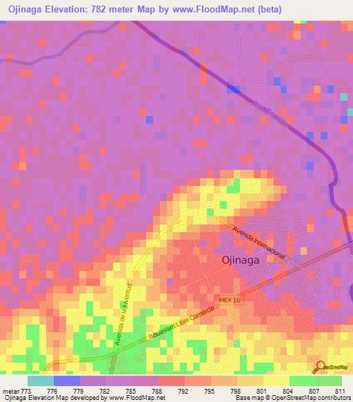 Ojinaga,Mexico Elevation Map