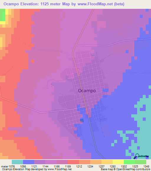 Ocampo,Mexico Elevation Map