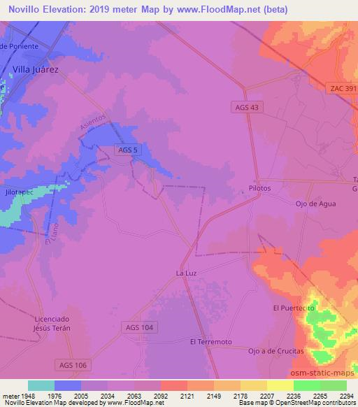 Novillo,Mexico Elevation Map