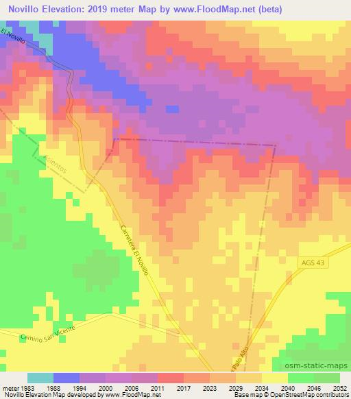 Novillo,Mexico Elevation Map