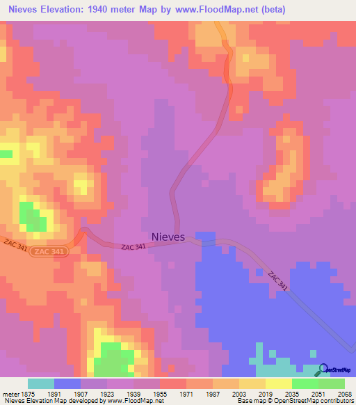 Nieves,Mexico Elevation Map