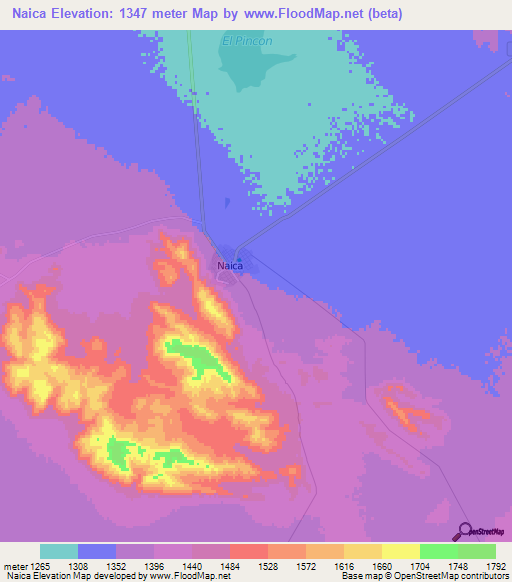 Naica,Mexico Elevation Map