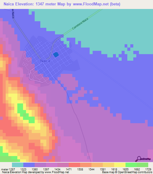 Naica,Mexico Elevation Map