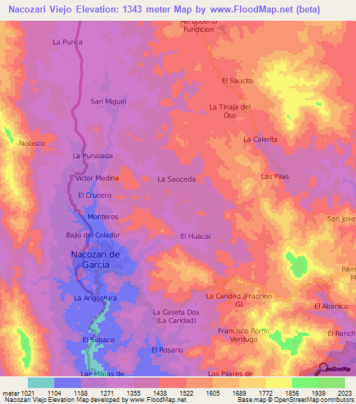 Nacozari Viejo,Mexico Elevation Map