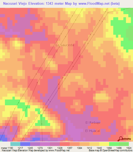 Nacozari Viejo,Mexico Elevation Map