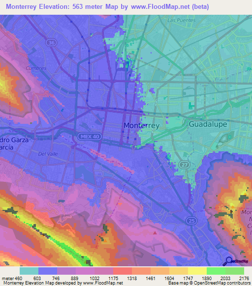 Monterrey,Mexico Elevation Map