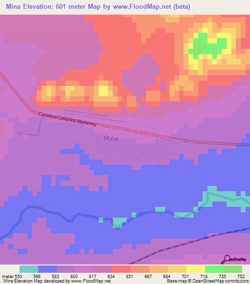 Mina,Mexico Elevation Map