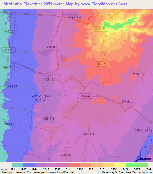 Mexiquito,Mexico Elevation Map