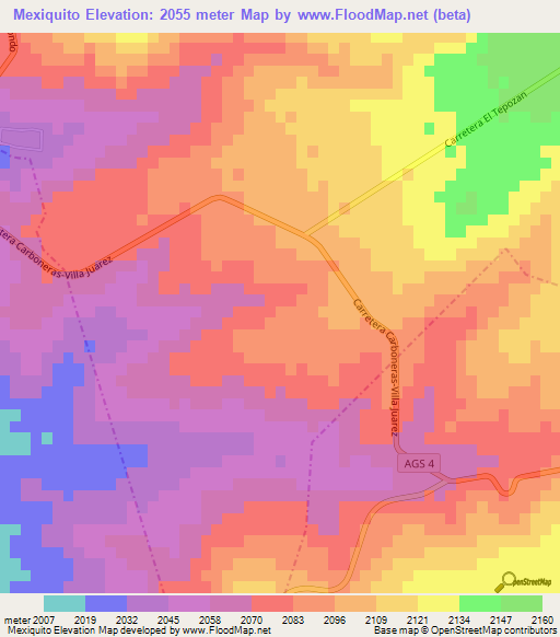 Mexiquito,Mexico Elevation Map