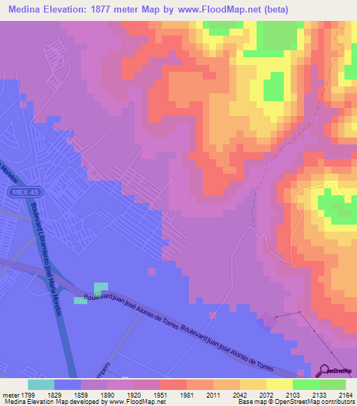 Medina,Mexico Elevation Map