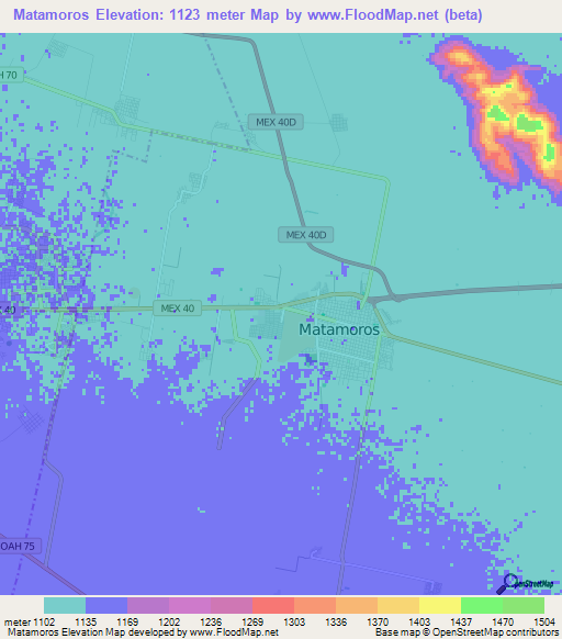 Matamoros,Mexico Elevation Map