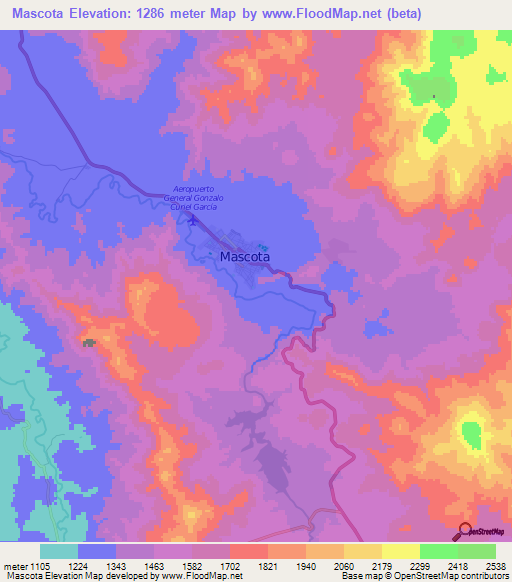 Mascota,Mexico Elevation Map