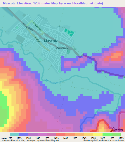 Mascota,Mexico Elevation Map