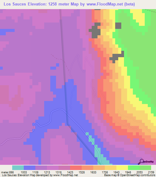 Los Sauces,Mexico Elevation Map