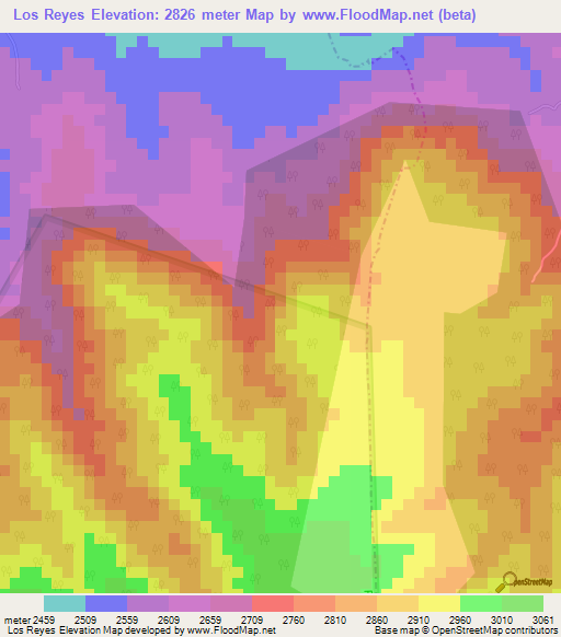 Los Reyes,Mexico Elevation Map