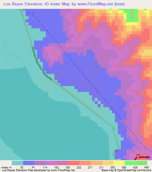 Los Reyes,Mexico Elevation Map