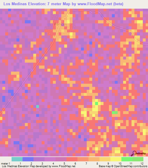 Los Medinas,Mexico Elevation Map