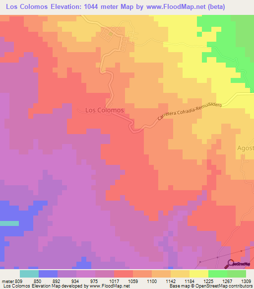 Los Colomos,Mexico Elevation Map