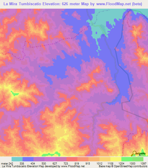 La Mira Tumbiscatio,Mexico Elevation Map