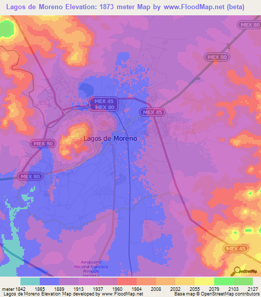Lagos de Moreno,Mexico Elevation Map