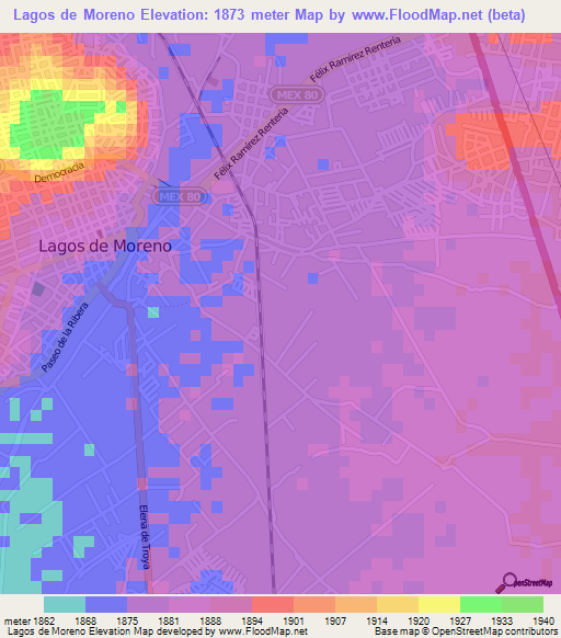 Lagos de Moreno,Mexico Elevation Map