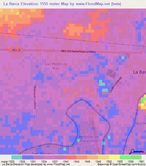 La Barca,Mexico Elevation Map
