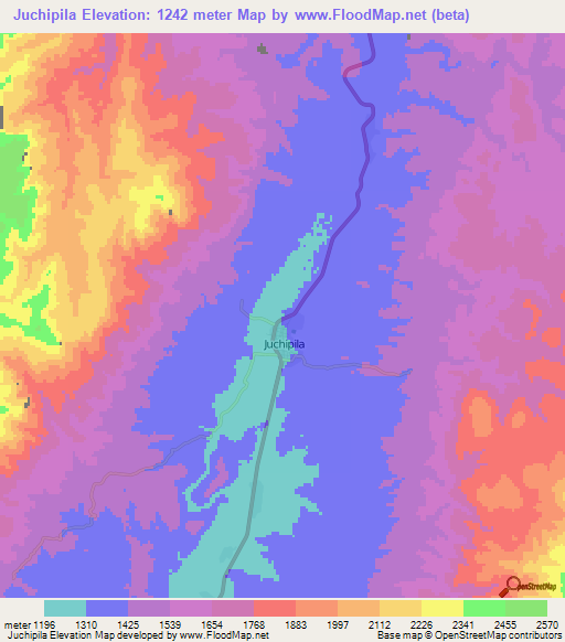 Juchipila,Mexico Elevation Map