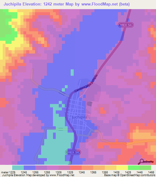 Juchipila,Mexico Elevation Map