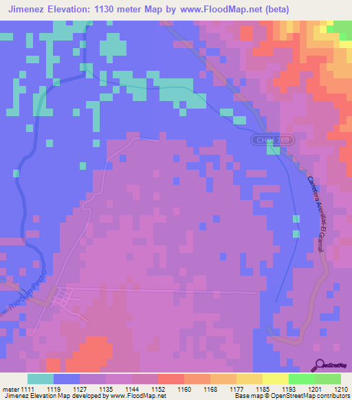 Jimenez,Mexico Elevation Map