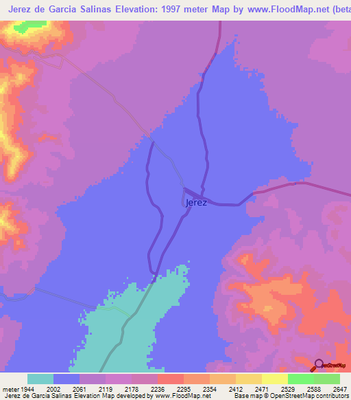 Jerez de Garcia Salinas,Mexico Elevation Map