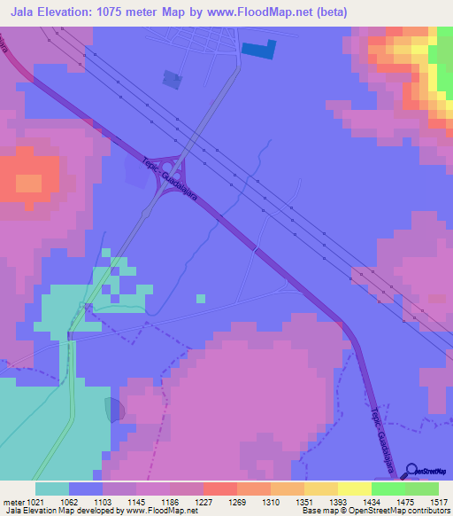 Jala,Mexico Elevation Map