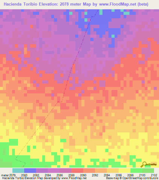 Hacienda Toribio,Mexico Elevation Map