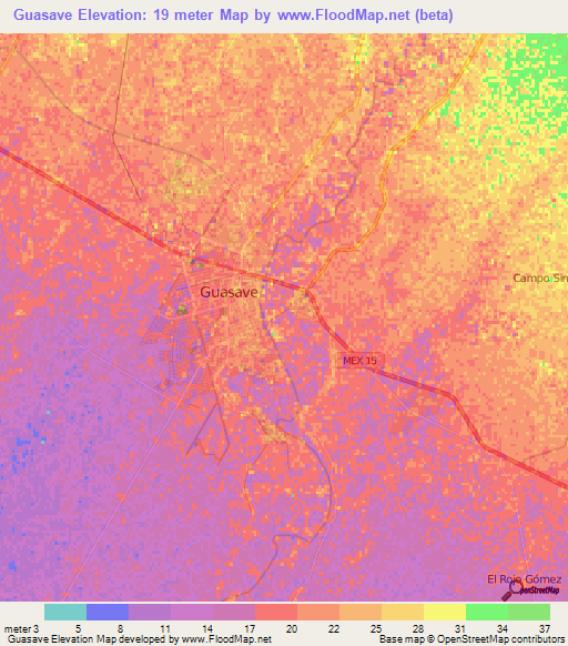 Guasave,Mexico Elevation Map