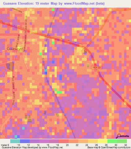 Guasave,Mexico Elevation Map