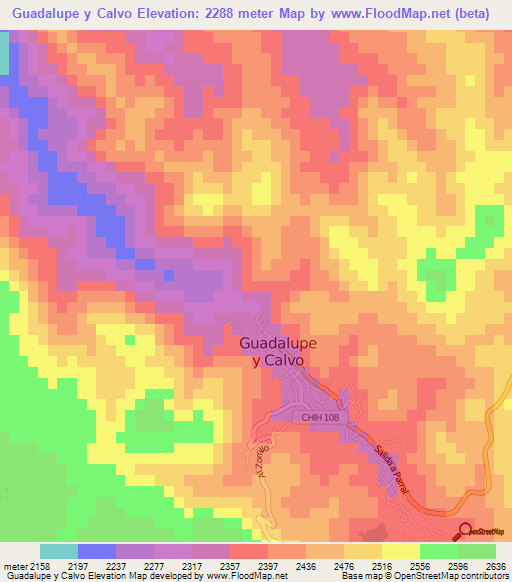 Guadalupe y Calvo,Mexico Elevation Map