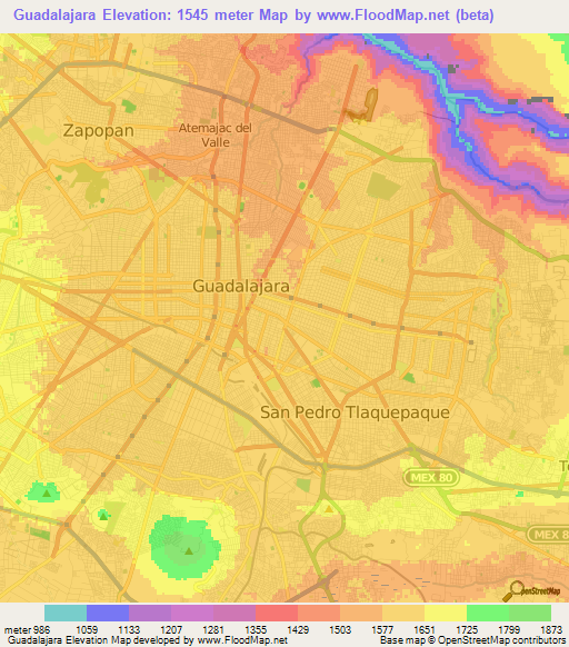 Guadalajara,Mexico Elevation Map