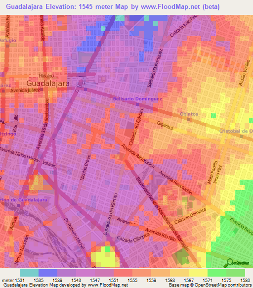 Guadalajara,Mexico Elevation Map