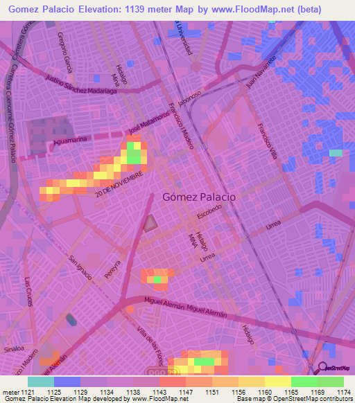 Gomez Palacio,Mexico Elevation Map