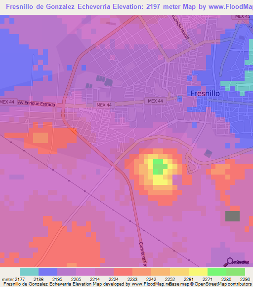 Fresnillo de Gonzalez Echeverria,Mexico Elevation Map