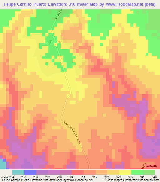 Felipe Carrillo Puerto,Mexico Elevation Map