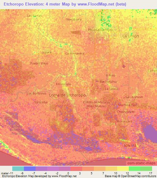 Etchoropo,Mexico Elevation Map