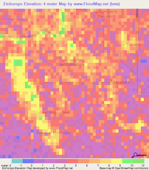 Etchoropo,Mexico Elevation Map