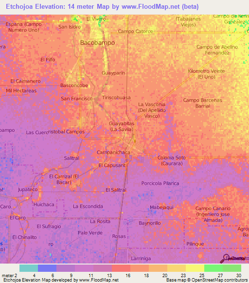 Etchojoa,Mexico Elevation Map