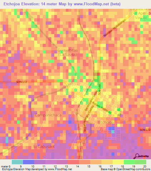 Etchojoa,Mexico Elevation Map