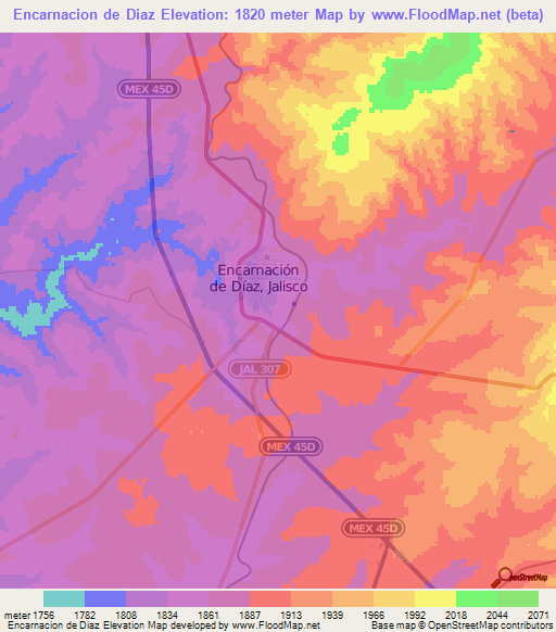 Encarnacion de Diaz,Mexico Elevation Map