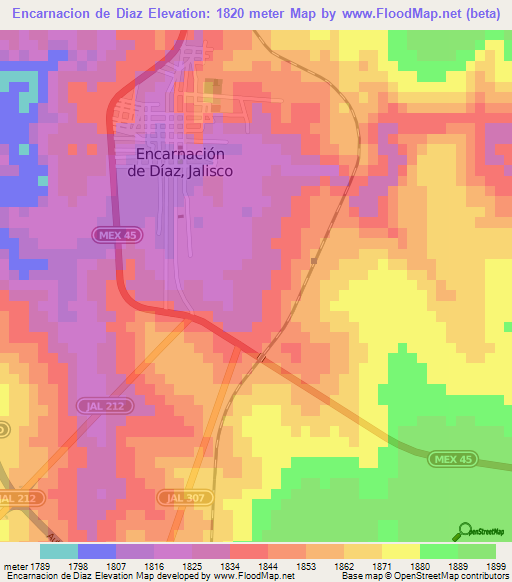 Encarnacion de Diaz,Mexico Elevation Map