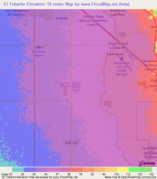 El Tobarito,Mexico Elevation Map