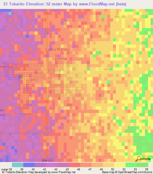 El Tobarito,Mexico Elevation Map