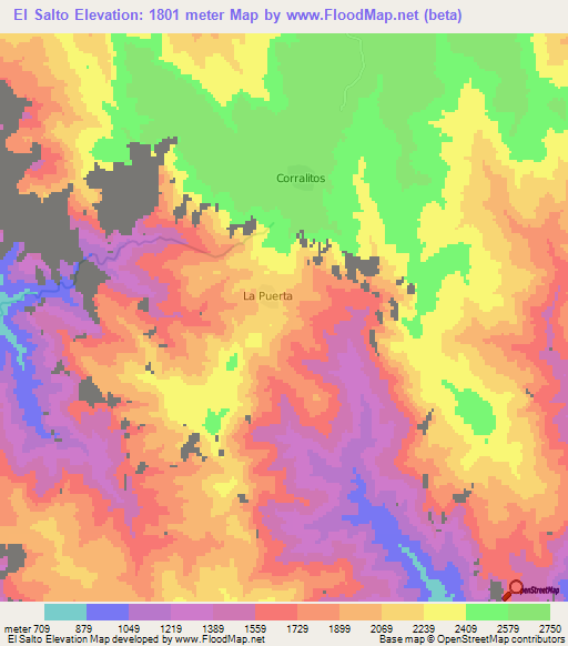 El Salto,Mexico Elevation Map